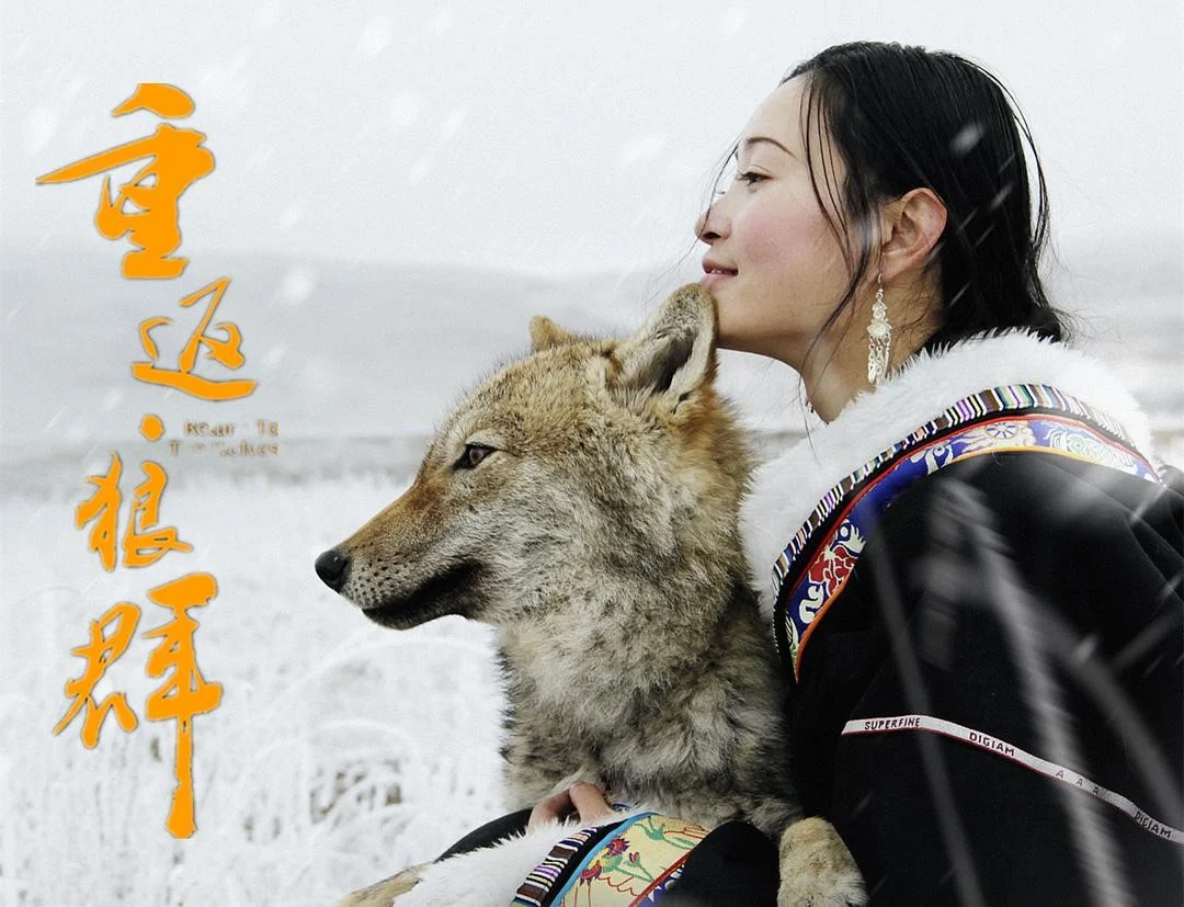 重返狼群10周年纪念版