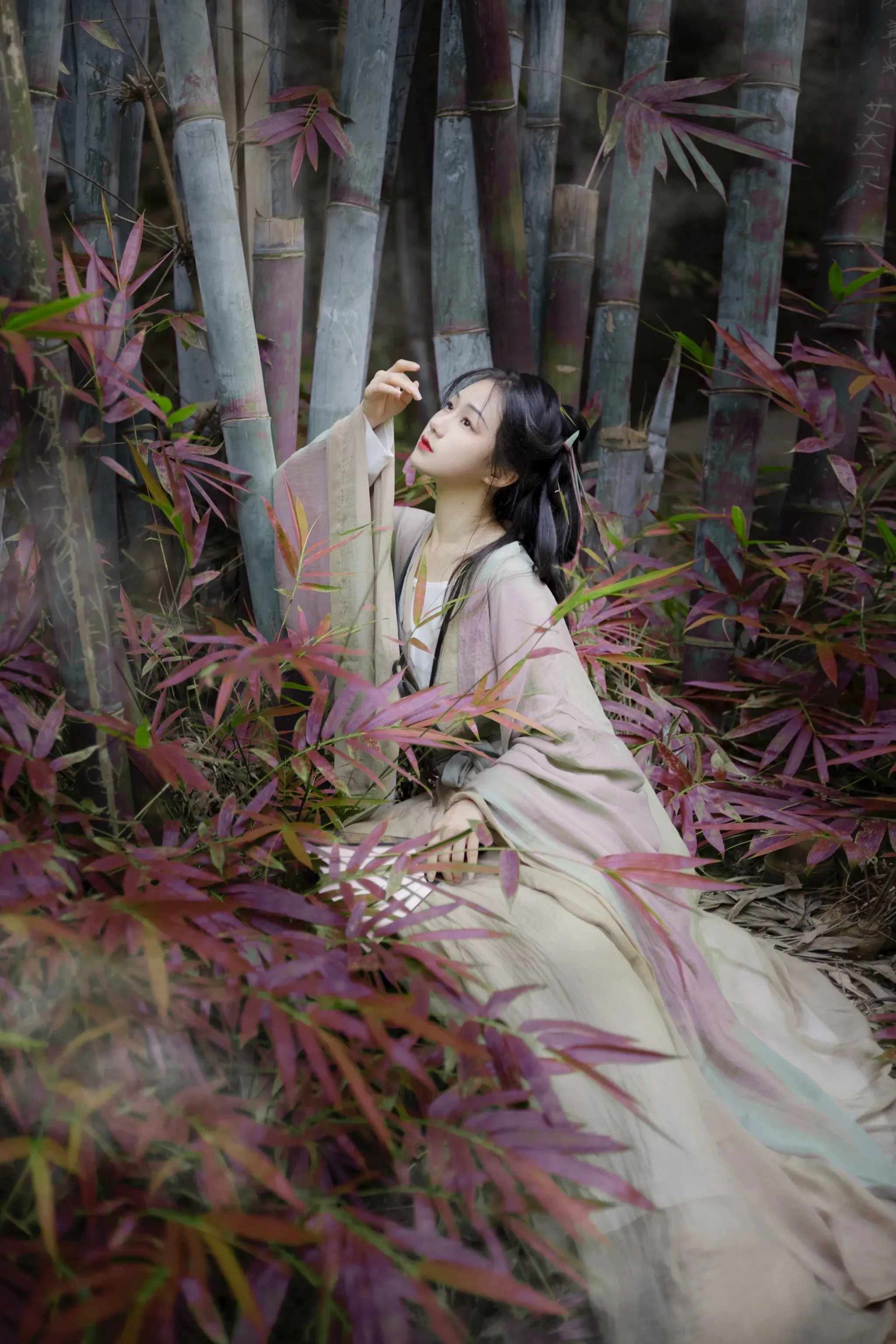 夜静竹不知
